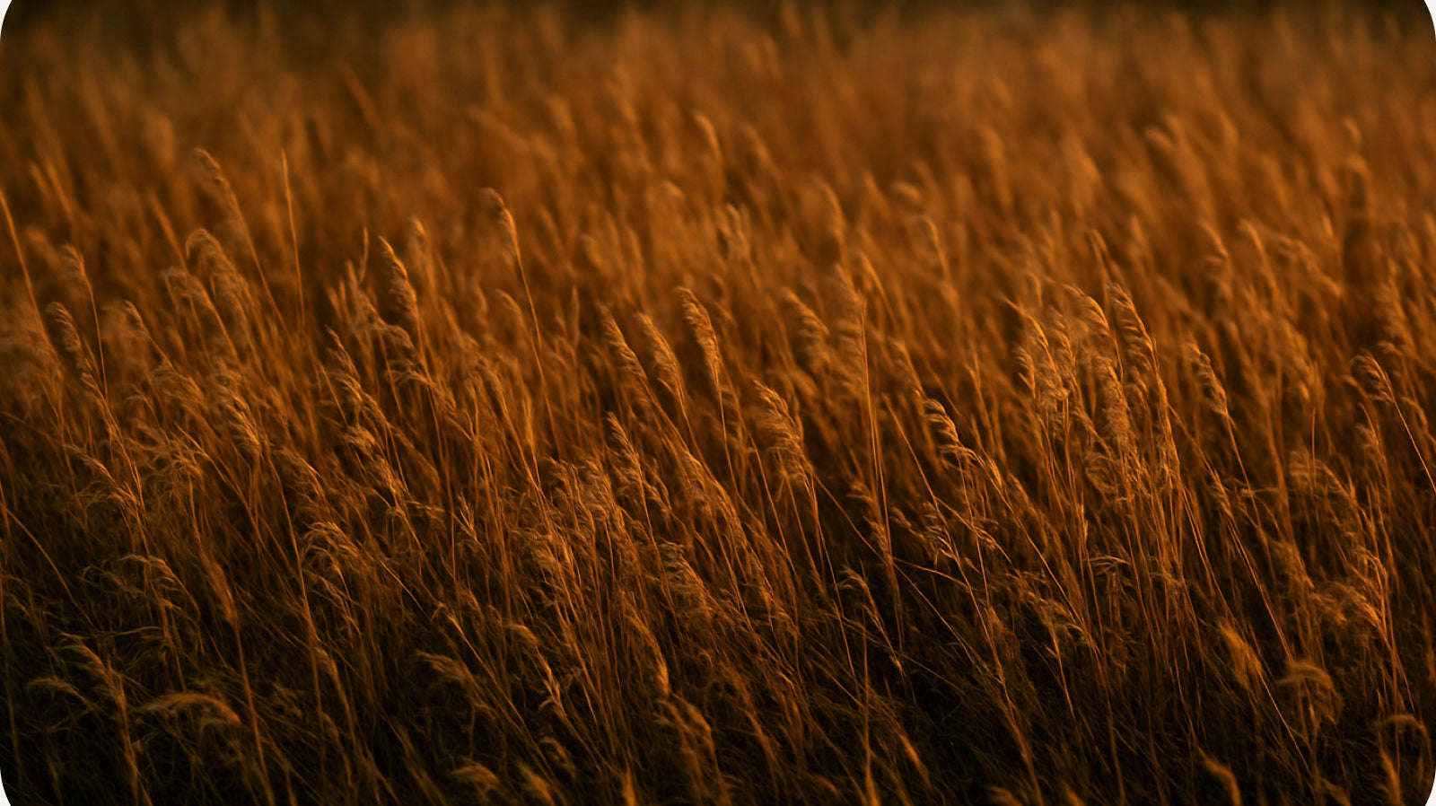 Slow Fashion. Sustainable by Design