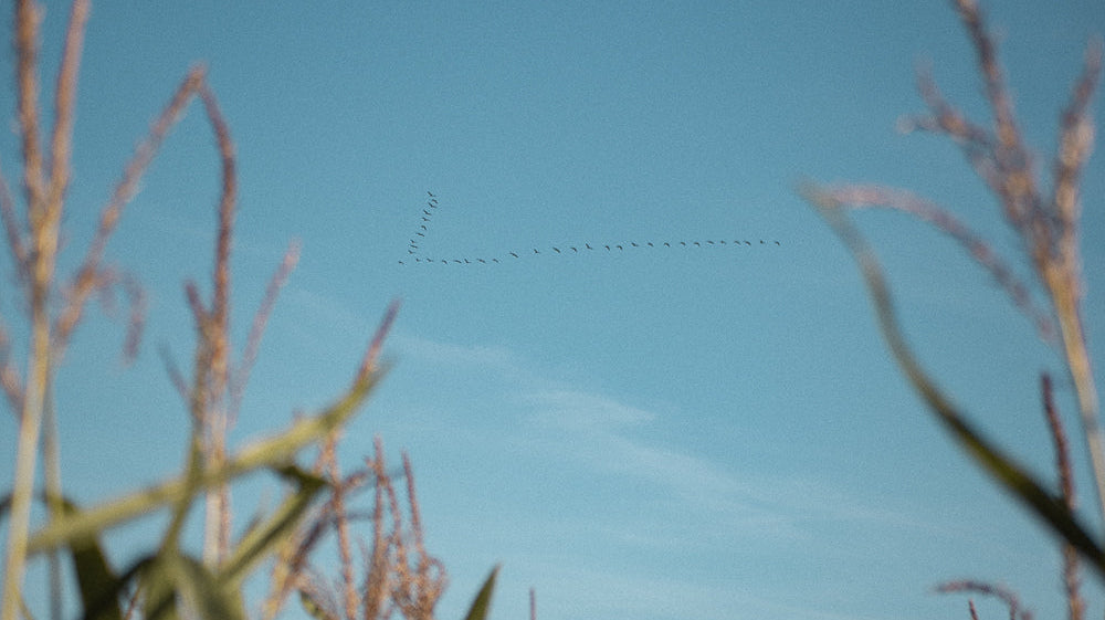 Slow Fashion. Sustainable by Design