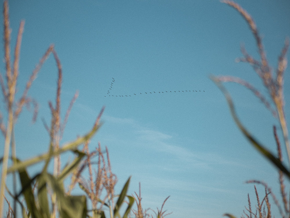 Slow Fashion. Sustainable by Design