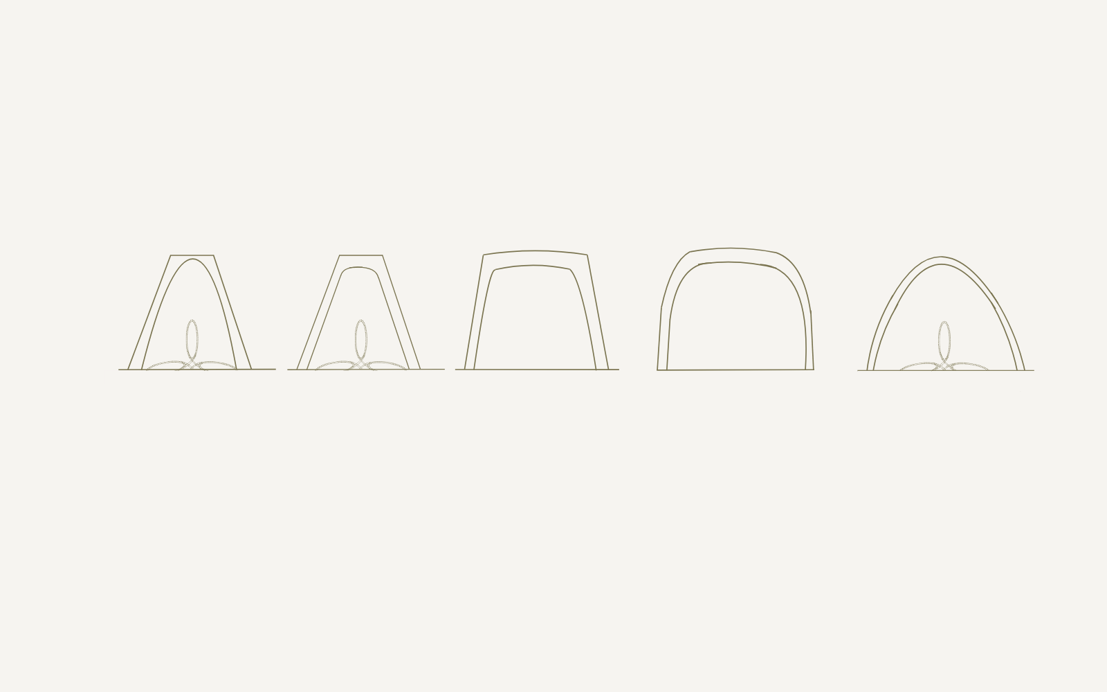 Dandelie's Toe Shapes Explained