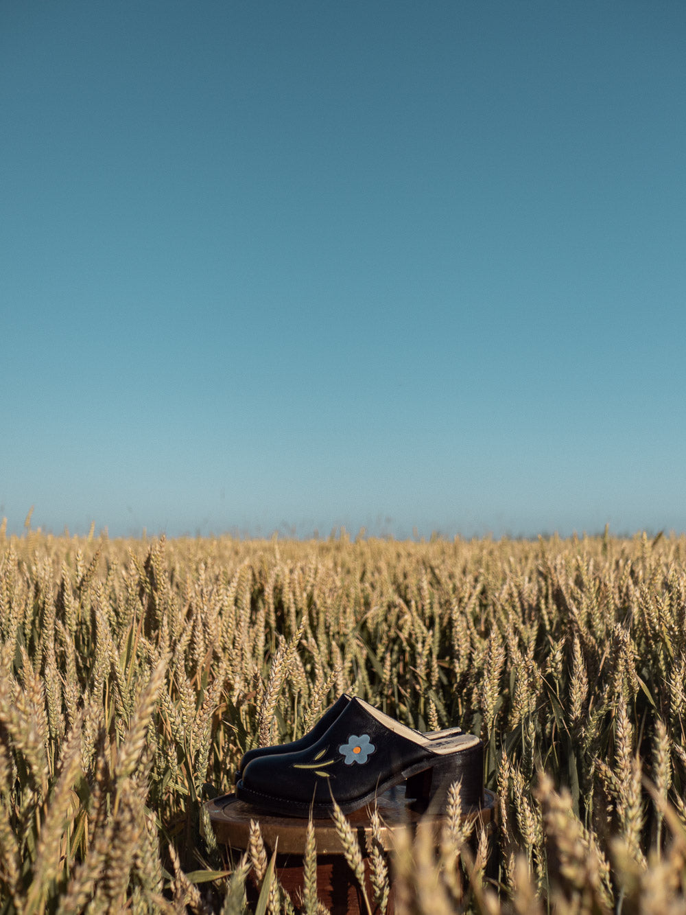 Sendra flower clogs mules black